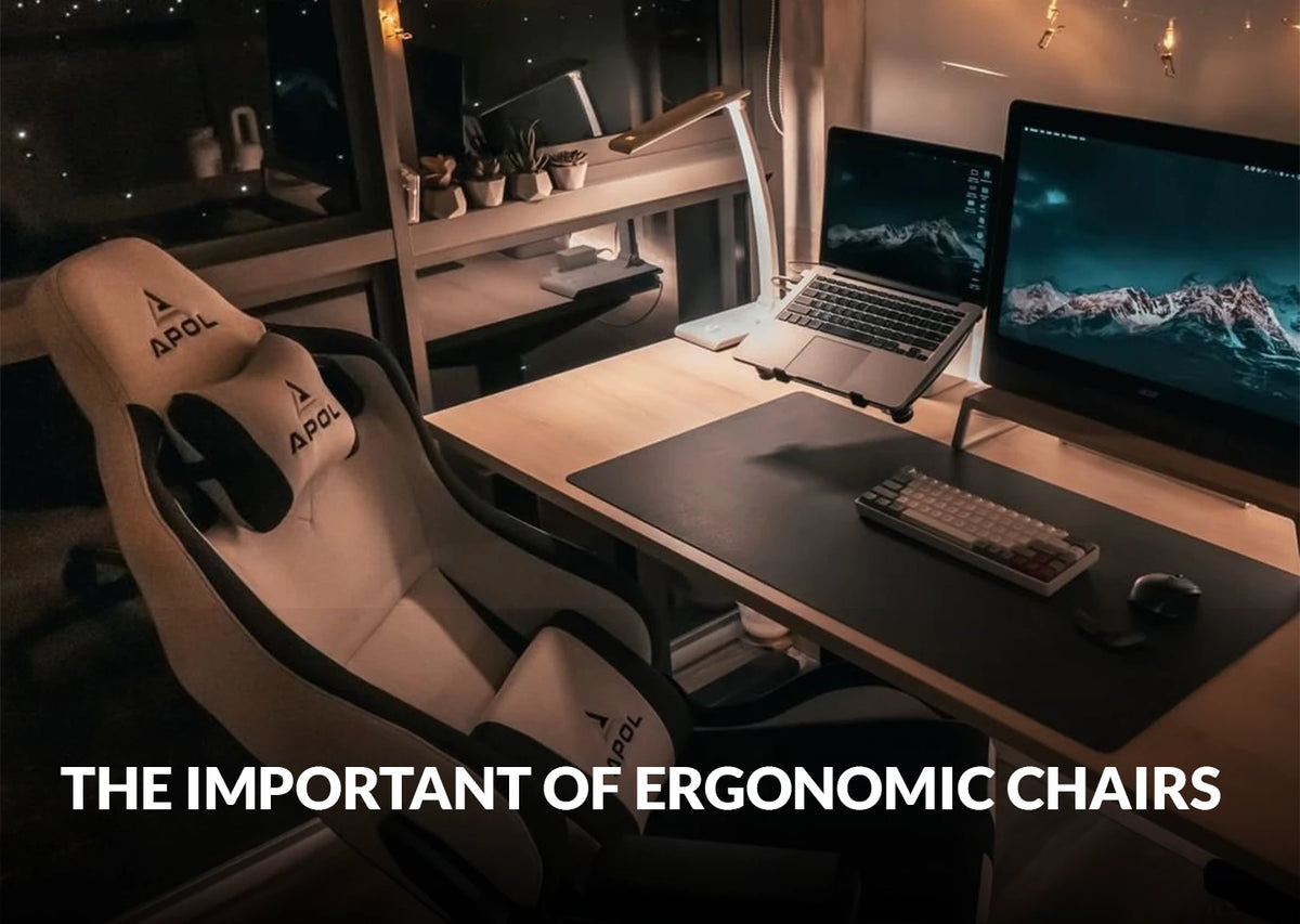 Why Are Ergonomic Chairs Important? APOL Singapore