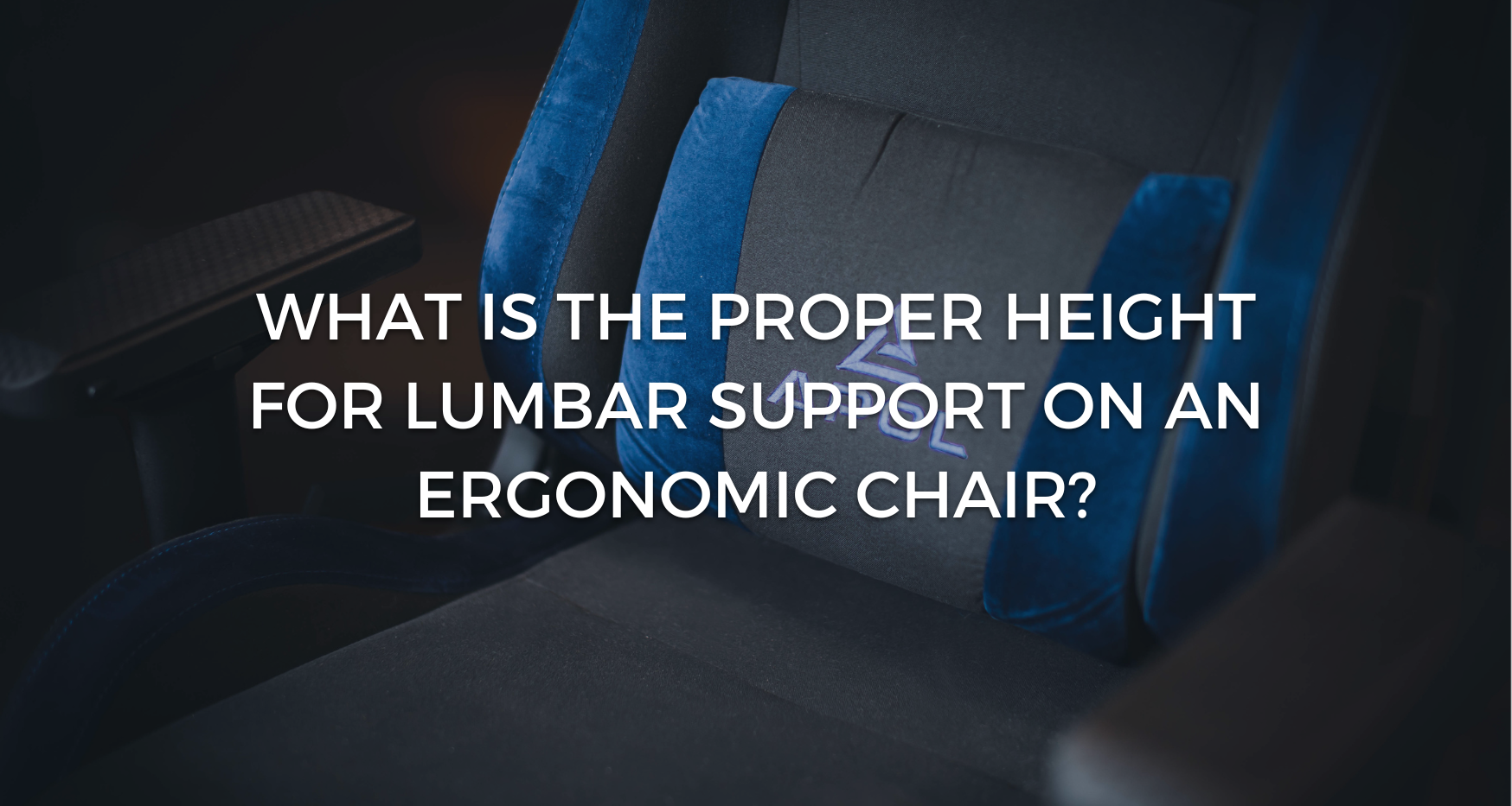 Correct lumbar support height 2025