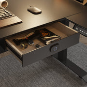 Biometric Fingerprint Drawer